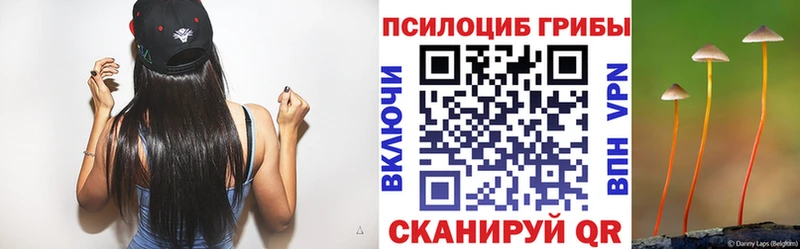 Псилоцибиновые грибы MAGIC MUSHROOMS  Купить  Тулун 