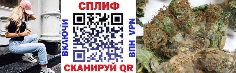 Купить закладки  Тулун  Шишки марихуана конопля 
